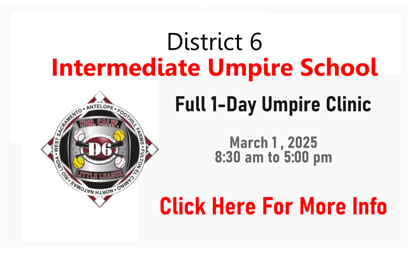 D6 Intermediate Umpire Clinic